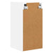 Dulap TV de perete Pe perete Alb 30 x 31 x 60 cm Lemn compozit - WALTI WALTI