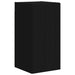 Dulap TV de perete Negru 30 x 31 x 60 cm Lemn compozit - WALTI WALTI