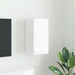 Dulap TV de perete Alb Lucios 30 x 31 x 60 cm Lemn compozit - WALTI WALTI