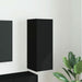 Dulap TV de perete Negru 30 x 31 x 80 cm Lemn compozit - WALTI WALTI