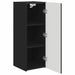 Dulap TV de perete Negru 30 x 31 x 80 cm Lemn compozit - WALTI WALTI