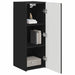 Dulap TV de perete 2 pcs Negru 30 x 31 x 80 cm Lemn compozit - WALTI WALTI