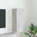 Dulap TV de perete Beton 30 x 31 x 80 cm Lemn compozit - WALTI WALTI