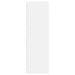 Dulap TV de perete Pe perete Alb 30 x 31 x 100 cm Lemn compozit - WALTI WALTI