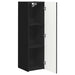 Dulap TV de perete Negru 30 x 31 x 100 cm Lemn compozit - WALTI WALTI