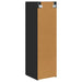 Dulap TV de perete 2 pcs Negru 30 x 31 x 100 cm Lemn compozit - WALTI WALTI