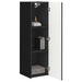 Dulap TV de perete 2 pcs Negru 30 x 31 x 100 cm Lemn compozit - WALTI WALTI