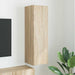 Dulap TV de perete Sonoma 30 x 31 x 100 cm Lemn compozit - WALTI WALTI