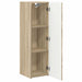 Dulap TV de perete Sonoma 30 x 31 x 100 cm Lemn compozit - WALTI WALTI