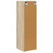 Dulap TV de perete Sonoma 30 x 31 x 100 cm Lemn compozit - WALTI WALTI