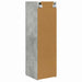 Dulap TV de perete Beton 30 x 31 x 100 cm Lemn compozit - WALTI WALTI