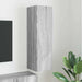 Dulap TV de perete Gri Sonoma 30 x 31 x 100 cm Lemn compozit - WALTI WALTI