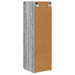 Dulap TV de perete Gri Sonoma 30 x 31 x 100 cm Lemn compozit - WALTI WALTI