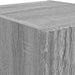 Dulap TV de perete Pe perete 2 pcs Gri Sonoma 30 x 31 x 100 cm - WALTI WALTI