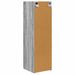 Dulap TV de perete Pe perete 2 pcs Gri Sonoma 30 x 31 x 100 cm - WALTI WALTI
