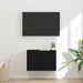 Dulap TV de perete Negru 59,5 x 31 x 40 cm Lemn compozit - WALTI WALTI