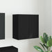 Dulap TV de perete 59,5 x 31 x 60 cm Negru Lemn prelucrat - WALTI WALTI