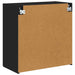 Dulap TV de perete Negru 59,5 x 31 x 60 cm Lemn compozit - WALTI WALTI