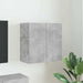 Dulap TV de perete Pe perete Gri din beton 59,5 x 31 x 60 cm - WALTI WALTI