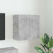Dulap TV de perete 59,5 x 31 x 60 cm Gri din beton - WALTI WALTI