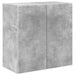 Dulap TV de perete Pe perete Gri din beton 59,5 x 31 x 60 cm - WALTI WALTI