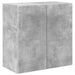 Dulap TV de perete 59,5 x 31 x 60 cm Gri din beton - WALTI WALTI