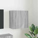 Dulap TV de perete Gri Sonoma 59,5 x 31 x 60 cm Lemn compozit - WALTI WALTI