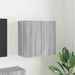 Dulap TV de perete 59,5 x 31 x 60 cm Gri Sonoma Lemn prelucrat - WALTI WALTI