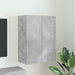 Dulap TV de perete Pe perete Gri din beton 59,5 x 31 x 80 cm - WALTI WALTI