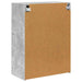 Dulap TV de perete Pe perete Gri din beton 59,5 x 31 x 80 cm - WALTI WALTI