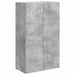 Dulap TV de perete Pe perete Gri din beton 59,5 x 31 x 100 cm - WALTI WALTI