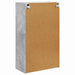 Dulap TV de perete Pe perete Gri din beton 59,5 x 31 x 100 cm - WALTI WALTI