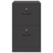 Dulap pentru Fișiere cu sertar cu raft Negru 44 x 50 x 106.5 cm - WALTI WALTI