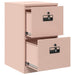 Dulap pentru Fișiere cu sertar cu raft Roz 44 x 50 x 106.5 cm - WALTI WALTI