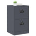 Dulap pentru Fișiere cu sertar Antracit 44 x 50 x 106.5 cm - WALTI WALTI