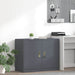 Dulap de depozitare cu depozitare Antracit 90 x 40 x 70 cm - WALTI WALTI