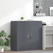 Dulap de depozitare cu depozitare Antracit 90 x 40 x 90 cm - WALTI WALTI