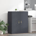 Dulap de depozitare cu depozitare Antracit 90 x 40 x 105 cm - WALTI WALTI