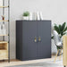 Dulap de depozitare cu depozitare Antracit 90 x 40 x 105 cm - WALTI WALTI