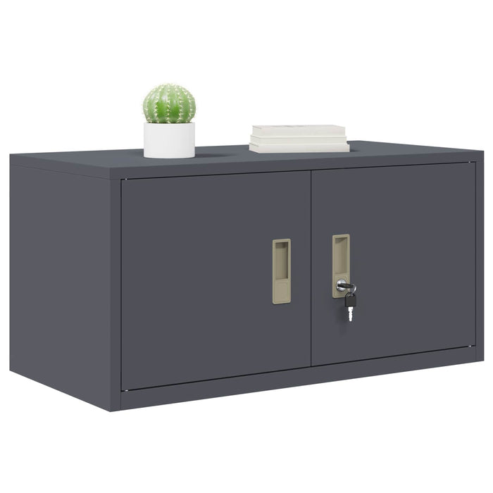 Dulap de depozitare cu depozitare Antracit 80 x 40 x 40 cm - WALTI WALTI