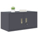Dulap de depozitare cu depozitare Antracit 80 x 40 x 40 cm - WALTI WALTI