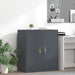 Dulap de depozitare cu depozitare Antracit 80 x 40 x 90 cm - WALTI WALTI