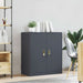 Dulap de depozitare cu depozitare Antracit 80 x 40 x 90 cm - WALTI WALTI