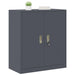 Dulap de depozitare cu depozitare Antracit 80 x 40 x 90 cm - WALTI WALTI