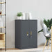 Dulap de depozitare cu depozitare Antracit 60 x 40 x 90 cm - WALTI WALTI
