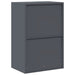 Dulap de depozitare cu depozitare Antracit 60 x 40 x 90 cm - WALTI WALTI