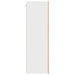 Dulap suspendat Riga Stejar Sonoma și Alb 50 x 31 x 100 cm - WALTI WALTI