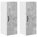 Dulap suspendat de bucătărie cu raft cu ușă 2 pcs Gri din beton - WALTI WALTI