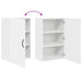 Dulap suspendat de bucătărie Alb 50 x 31 x 80 cm Lemn compozit - WALTI WALTI