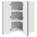 Dulap suspendat de bucătărie cu raft Negru 57 x 57 x 80 cm - WALTI WALTI